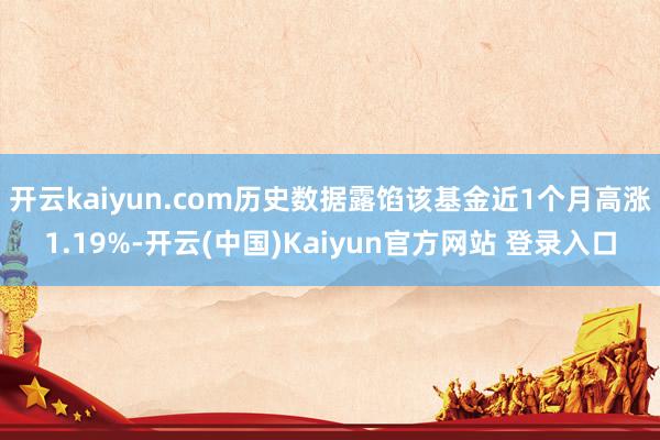 开云kaiyun.com历史数据露馅该基金近1个月高涨1.19%-开云(中国)Kaiyun官方网站 登录入口