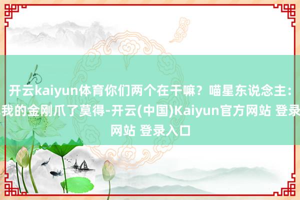 开云kaiyun体育你们两个在干嘛?喵星东说念主:看见我的金刚爪了莫得-开云(中国)Kaiyun官方网站 登录入口