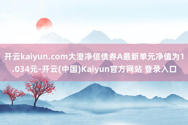 开云kaiyun.com大澄净信债券A最新单元净值为1.034元-开云(中国)Kaiyun官方网站 登录入口