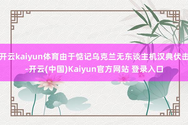 开云kaiyun体育由于惦记乌克兰无东谈主机汉典伏击-开云(中国)Kaiyun官方网站 登录入口