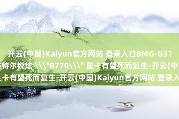 开云(中国)Kaiyun官方网站 登录入口BMG-G31 海关信息捏续出现，英特尔锐炫 \